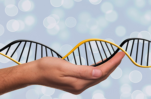 DNA Testing
